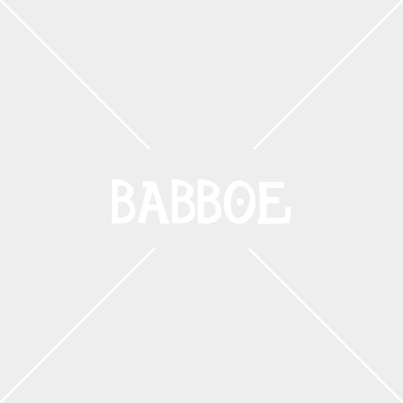 babboe-019-081010_2.jpg