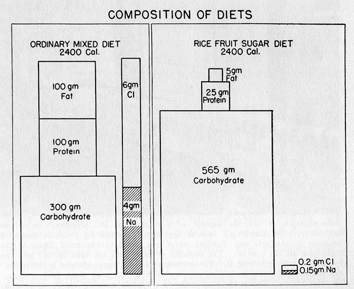 kempner-compositionopti.jpeg